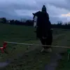 Amber Coll - @a.c.effin - TikTok