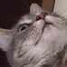 Amber Collinson - Facebook