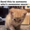 Ryley - @amber.collinson - TikTok