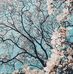 Amber Colvard - Facebook