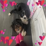 Amber Conlon - @anutieam - Instagram