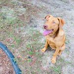 Amber conover - @conover3853 - Instagram