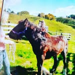 Amber Cooney - @amber.cooney.9028 - Instagram