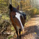 Amber Cordes - @cordes4776 - Instagram