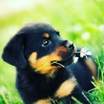 ambercore - @ambercore58 - Instagram