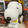 ambercore__ - @ambercore__ - TikTok