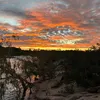 amber - @amber.roccella - TikTok