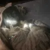 Amberr Corliss59 - @amberrcorliss1 - TikTok