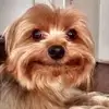 Acorona - @amber.corona - TikTok