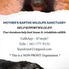 ambercoronado6 - @mewildlifesanctuary - TikTok