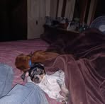 Amber Coston - Facebook
