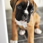 Amber Cote - @ambercote2000 - Instagram