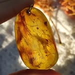Энерго-коучинг - @ambercouching - Instagram