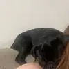Amber Craddock - @amber.craddock3 - TikTok