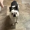 Amber Crafton-Bly - @amber.craftonbly - TikTok