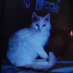 @amber.craine2024 - Instagram