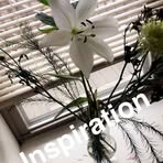 Amber Crenshaw - Facebook