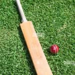 cricket_with_amber - @amber_cricket - Instagram