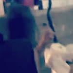 Amber Rippen - @amberrippen - Instagram