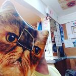 Amber Cropp - @ambercropp - Instagram