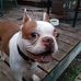 Amber Cropp - Facebook