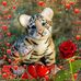 Amber Cropp - Facebook
