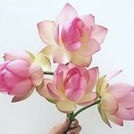 Amber Cropp - @amber_cropp - Instagram