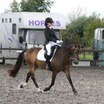 Chloe Amber Crossman - @chloeamberdressage - Instagram