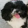 ambercrotts1 - @ambercrotts1 - TikTok