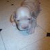 Amberlynn Crotts - Facebook