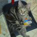 Amber Crouse - Facebook