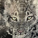 Amber Crown - @ambercrown.tarot - Instagram