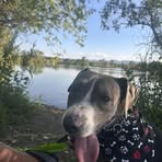 Amber Cushin - Facebook