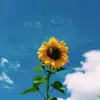 amber_cutting - @friends976 - TikTok