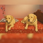 Amber🐕❤️ - @amber_cyrus_labra_dad_son - Instagram