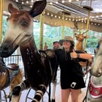 Amber Czechowski - Facebook
