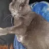 amberlynnczech678 - @amberlynnczech678 - TikTok