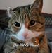 Amber Daigle - Facebook