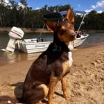 Amber Dalgleish - @amberdalgleish - Instagram