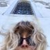 Amber Dalrymple - Facebook