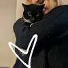 Amber Daly - @billy_the.kitty - TikTok