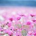 Amber Daly - Facebook