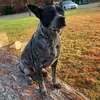 Amber Daly - @amberdaly2 - TikTok