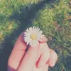 hoi - @amberdammexx - TikTok