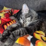 Amber Daugherty - @daugherty1970 - Instagram