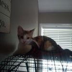 Amber Decker - @amberdecker2008 - Instagram