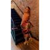 Amber L DeSantis - Facebook