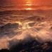 Amber DeShields - Facebook