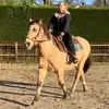 amber de vos - @amberhorselife - TikTok