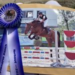 Amber Devos Horses - @amberdevoshorses - Instagram
